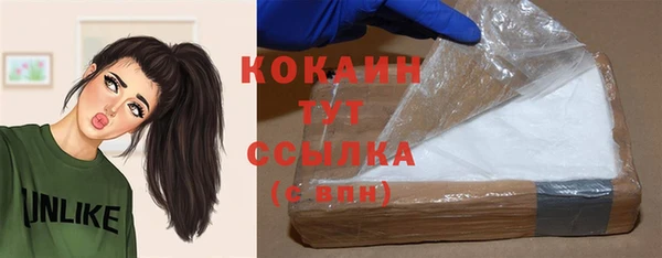 сатива Нягань