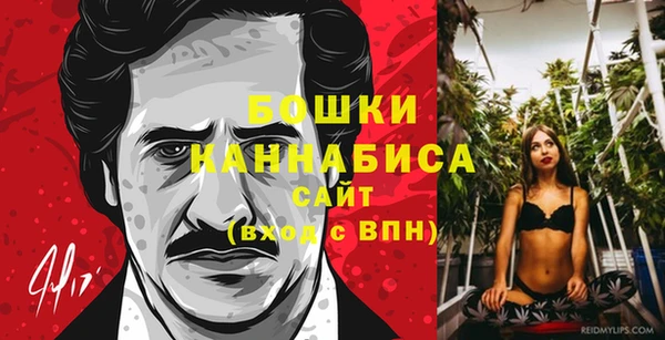 сатива Нягань