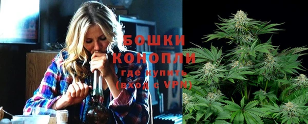 сатива Нягань