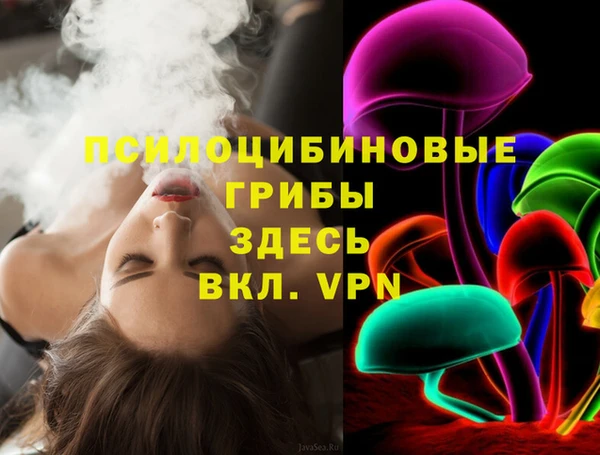 прущая мука Няндома
