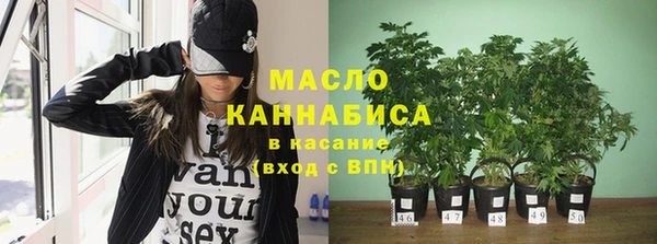 сатива Нягань