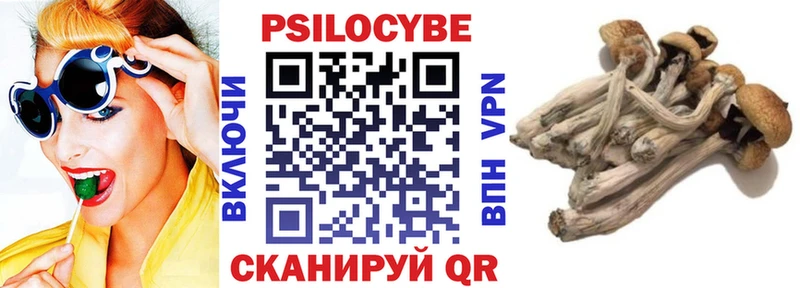 Галлюциногенные грибы MAGIC MUSHROOMS  магазин  наркотиков  Рославль 