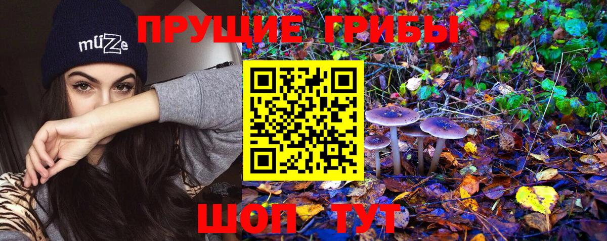 Галлюциногенные грибы MAGIC MUSHROOMS  Вход с VPN  Рославль  Псилоцибиновые грибы Cubensis 
